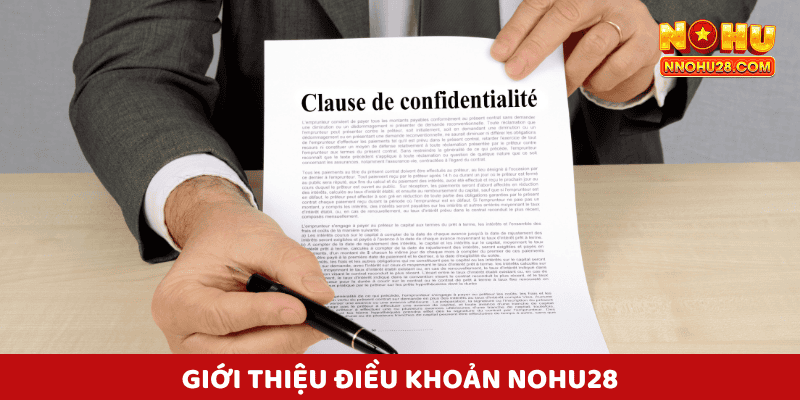Giới thiệu điều khoản nohu28